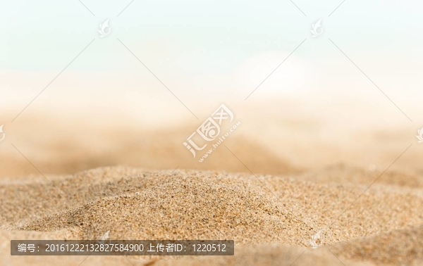 一些沙岸上的特寫