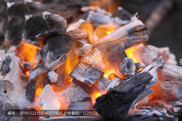 火中樹(shù)腐爛的紅煤