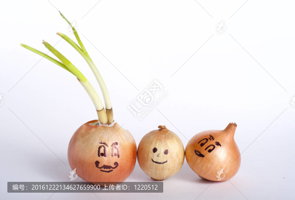 洋蔥家族