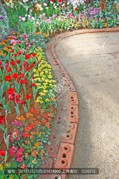 花園里的路