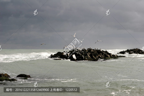 丹麥landscape01