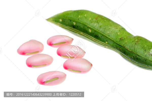 蠶豆