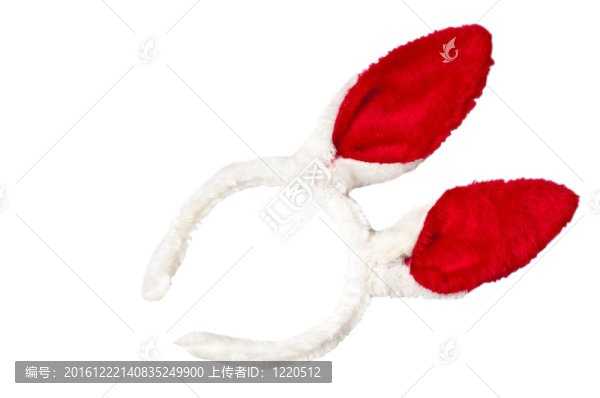 兔子的耳朵