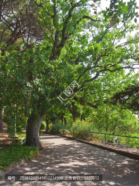 在公園里