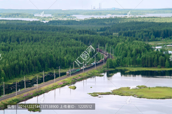 鐵路運輸。常綠森林間的貨運列車。鳥瞰