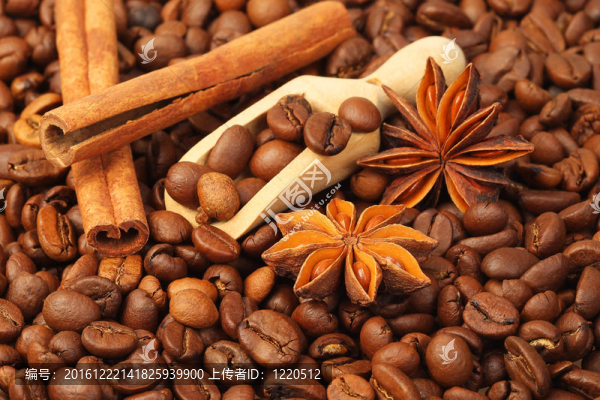 咖啡豆；茴香和香草