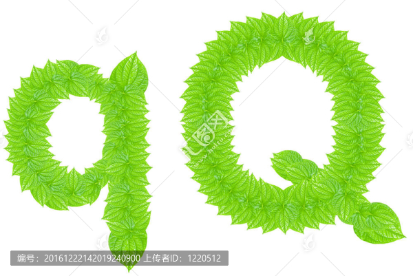 英語字母表由綠色的樹葉