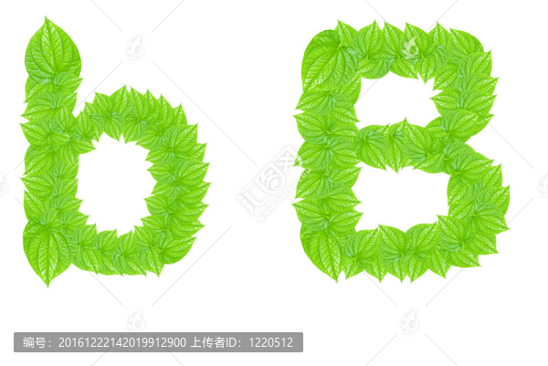 英語字母表由綠色的樹葉