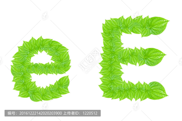 英語字母表由綠色的樹葉