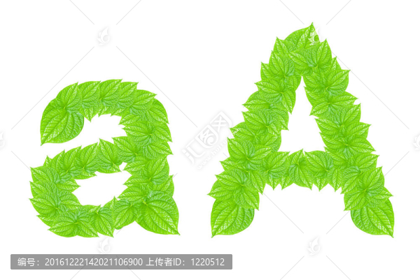 英語字母表由綠色的樹葉