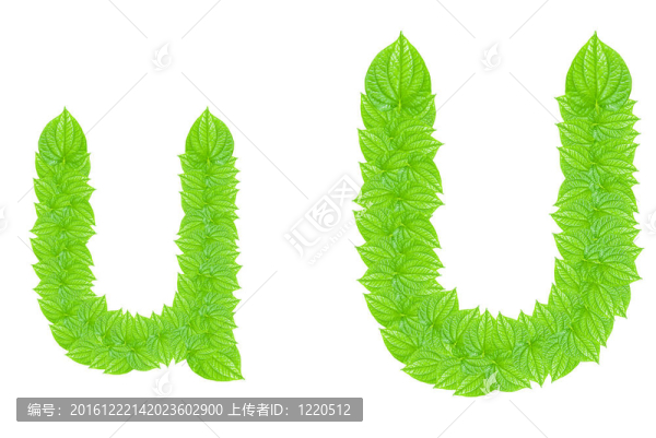 英語(yǔ)字母表由綠色的樹(shù)葉