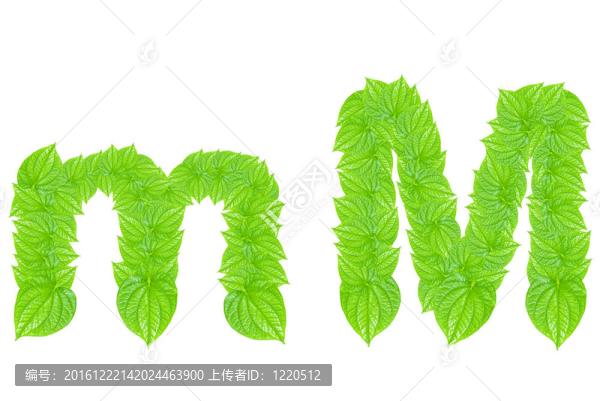 英語字母表由綠色的樹葉