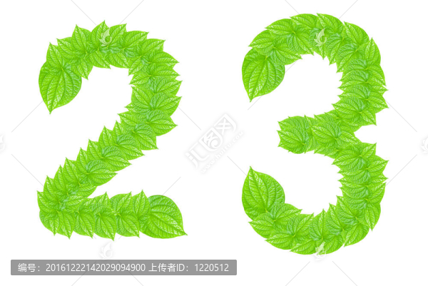 數(shù)字符號由綠色的樹葉