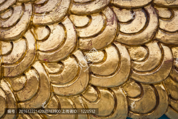 金色的龍鱗