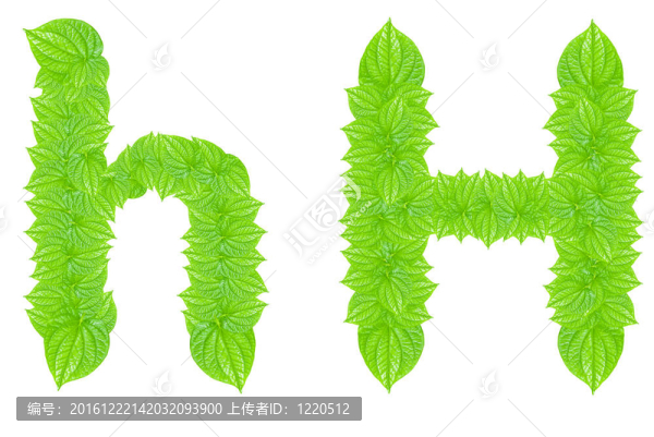 英語字母表由綠色的樹葉