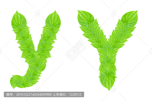 英語(yǔ)字母表由綠色的樹葉