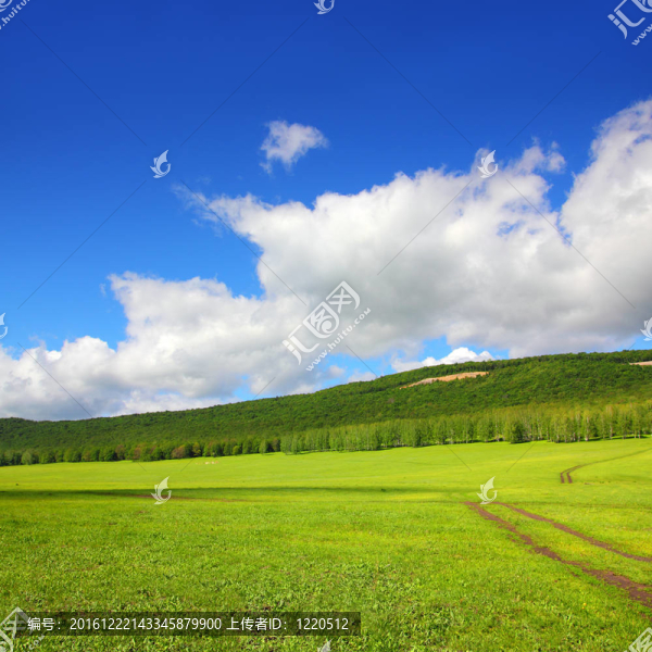 夏季景觀與道路