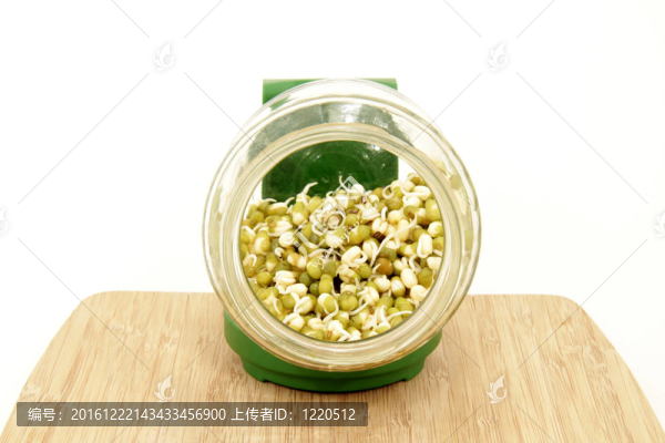 綠豆幼苗