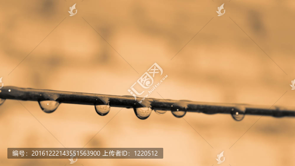 水滴絲