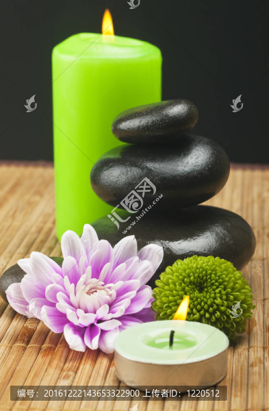 SPA的靜物