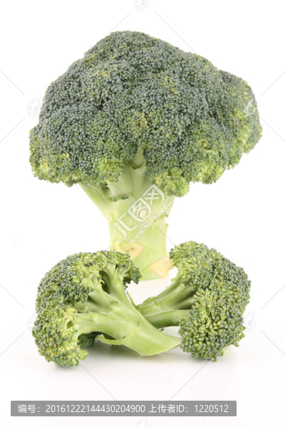 孤立的西蘭花