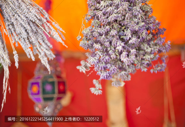 干香草