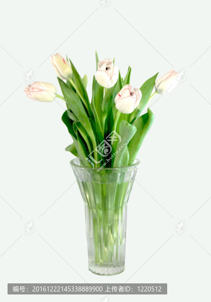 郁金香花瓶