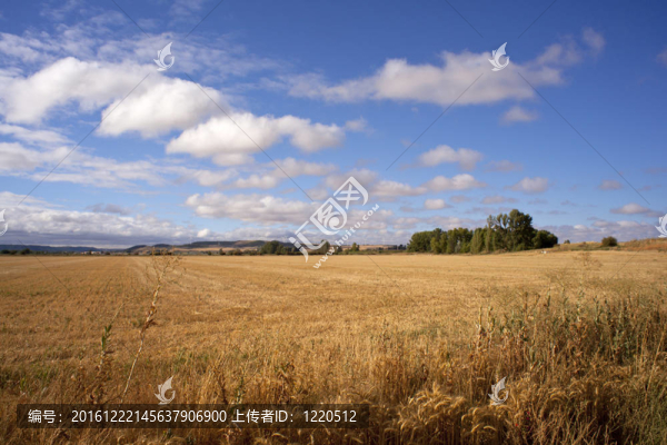 西班牙鄉(xiāng)村