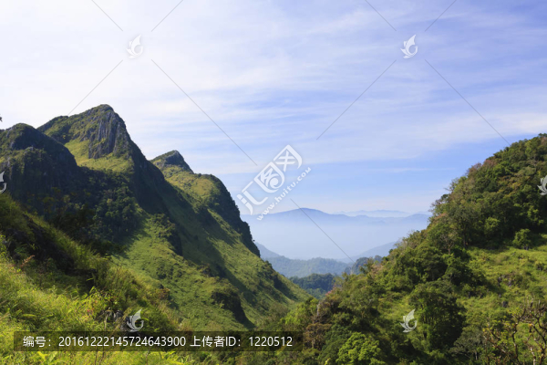 我的清道