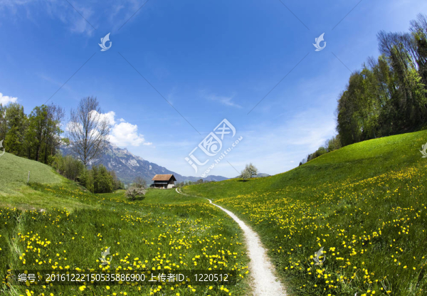 在山地景觀