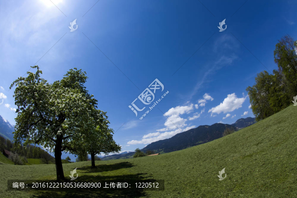 在山地景觀