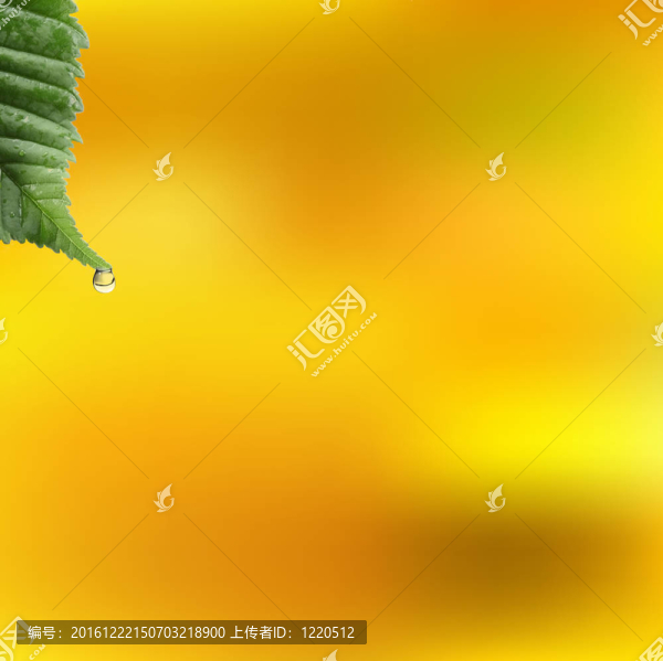 葉子和小水滴