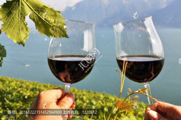 雙手拿著wineglases對Lavaux地區(qū)的葡萄園；瑞士