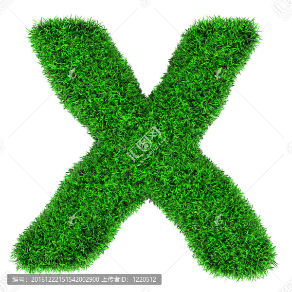 草字母X