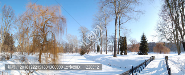 樹木和河流覆蓋著雪的亞歷山德里亞公園全景；Bila,Tserkva；烏克蘭
