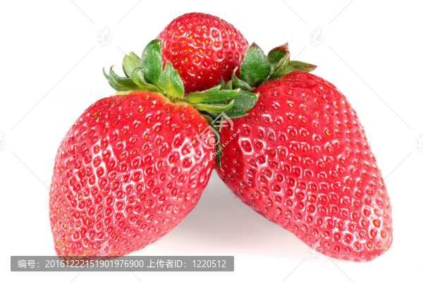 三草莓