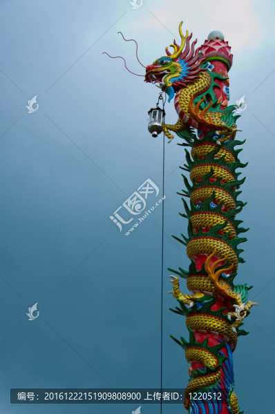 龍
