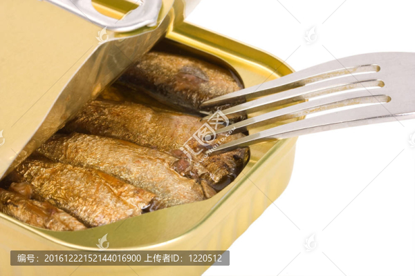 鯡魚油