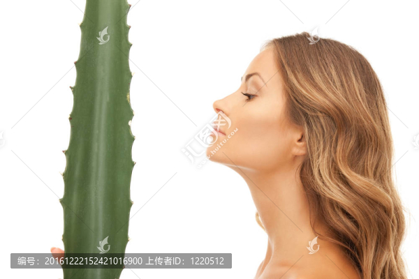 可愛(ài)的女人與aloe,vera