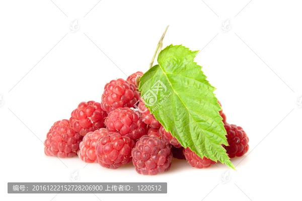 覆盆子