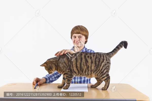 聰明的男孩為學(xué)校學(xué)習(xí)休息和玩他的貓
