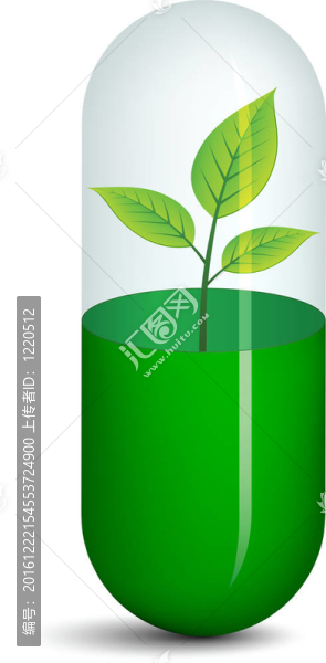 植物丸