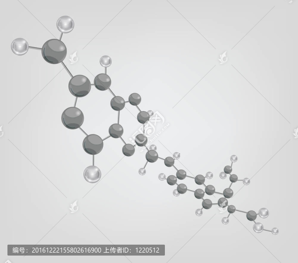 大分子