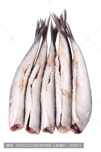 白底無(wú)頭鮮淡水魚