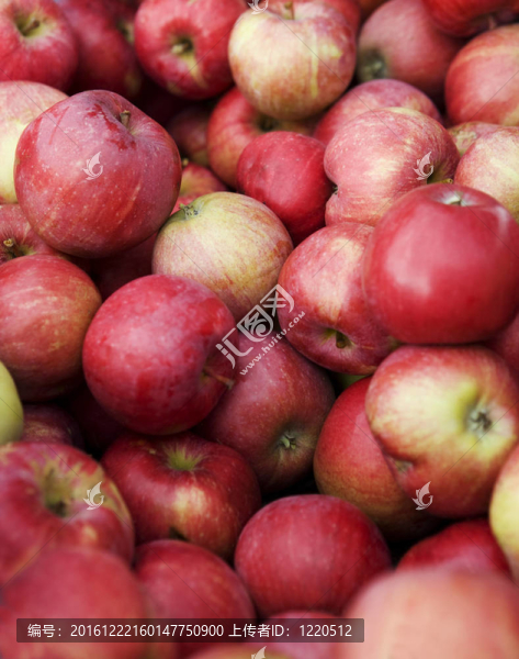 全套紅蘋(píng)果