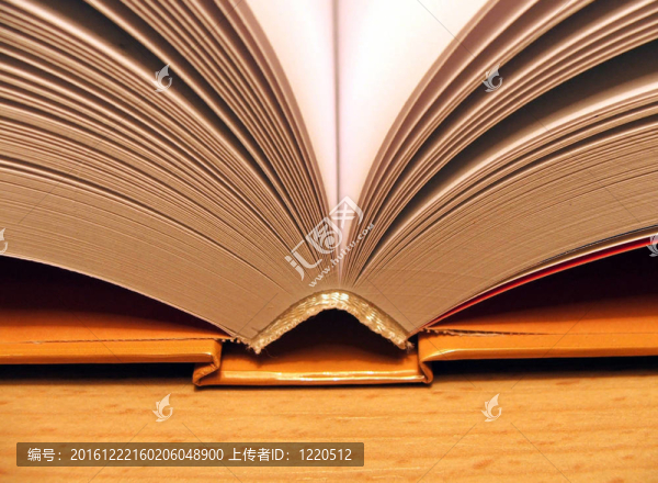 打開(kāi)的書(shū)