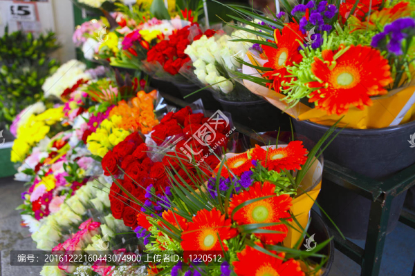 花側(cè)視圖