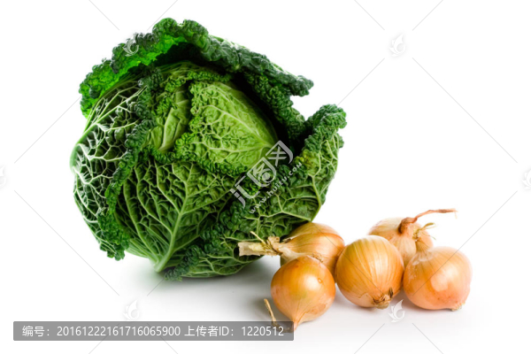 新鮮的卷心菜ISD五洋蔥