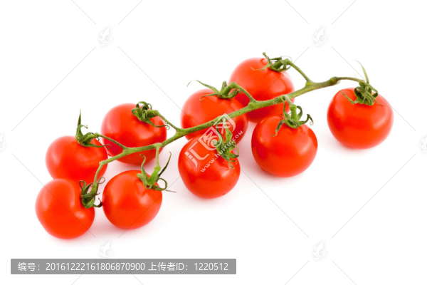 成熟的西紅柿