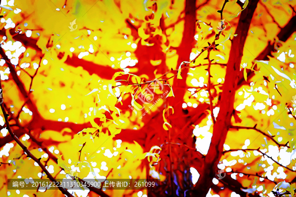 唯美樹葉,高清立體